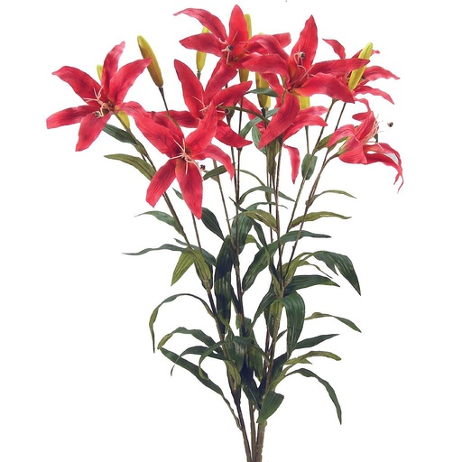 [S38366-RUB] LILY GARDEN PLANT X8 W/8 BUDS  RUBRUM