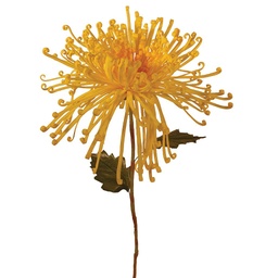 [S20045-YEL] MUM FUJI SPRAY 21&quot; YELLOW
