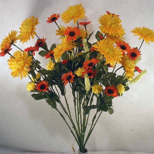 [S3415-YOR] MIXED BUSH DAISY/MUM X12