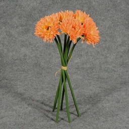 [S4934-PCH] MUM ASTER 10&quot; BUNDLE X6  PEACH