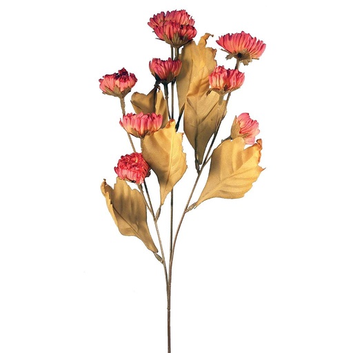 [S791095-PNK] MUM  DRIED POM POM SPRAY X 3
