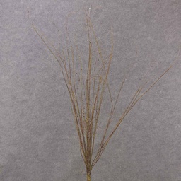 [S10074-NAT] TWIG ARTIFICIAL HONEYSUCKLE 32&quot; NATURAL BROWN