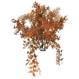 [S118322-RUS] FOLIAGE MAPLE/SPRNGERI BUSH x8   RUST 19&quot; MINI
