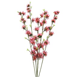 [S38784-PNK] WITCH HAZEL 28&quot; BUSH X 5 PINK