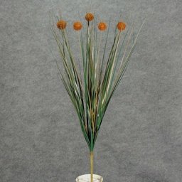 [S650440-BRN] GRASS ONION FLKD BALL BUSH X5  BROWN