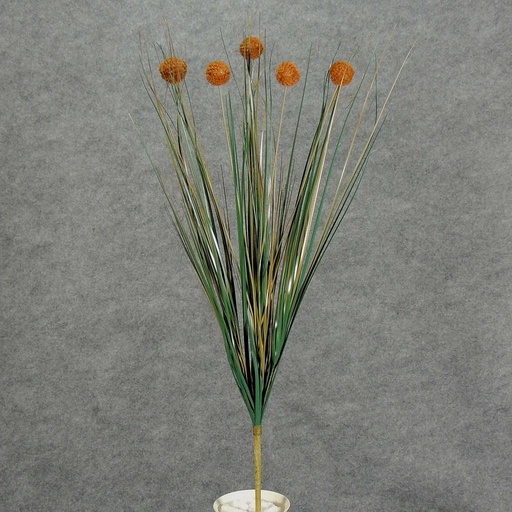 [S650440-BRN] GRASS ONION FLKD BALL BUSH X5  BROWN