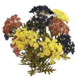 [S694231-PMB] QUEEN ANNE LACE 19&quot; BUSH x12