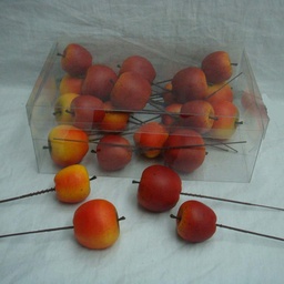 [S100255] FRUIT APPLES 4 ASSORTED(24/BOX)