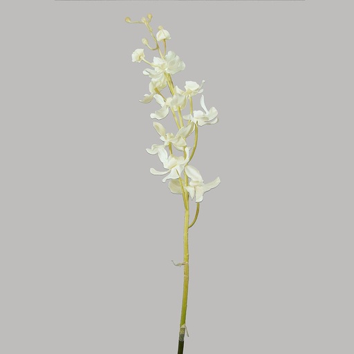 [S1517-WHT] DENDROBIUM SPRAY WHITE 31.5"