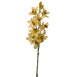 [S2581-CRM] CYMBIDIUM 34&quot; ORCHID SPRAY