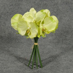 [S4924-LGN] ORCHID 10.5&quot; SATIN BUNDLE X6  LIGHT GREEN