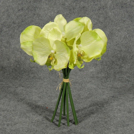 [S4924-LGN] ORCHID 10.5" SATIN BUNDLE X6  LIGHT GREEN