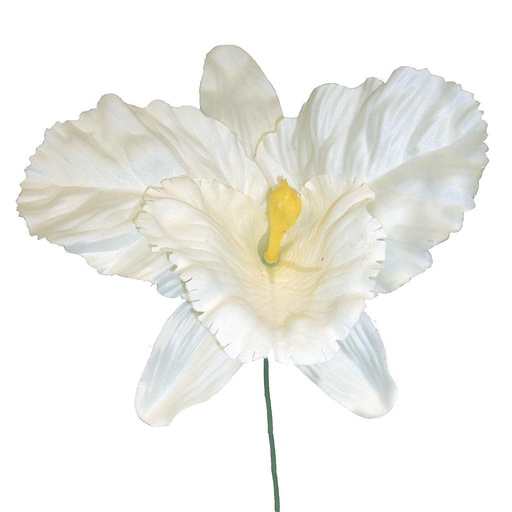 [S691422-WHT] ORCHID PICK          WHITE