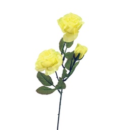 [S24084-SFY] ROSE X3  SOFT YELLOW