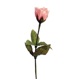[S24275-ALM] ROSE BUD SINGLE FRENCH ALMOND PI 14.5"