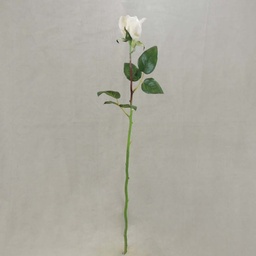 [S331505-CRM] ROSE BUD LARGE CREAM