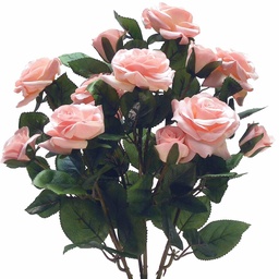[S37070-PNK] ROSE BUSH MIXED GARDEN TEA X12  PINK