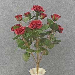 [S37070-RED] ROSE BUSH MIXED GARDEN TEA X12  RED