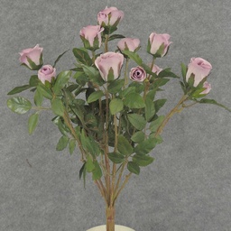 [S5265] ROSE BUSH MINI   X11 LAVENDER