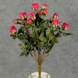 [S5265-BEA] ROSE BUSH MINI   X11  BEAUTY