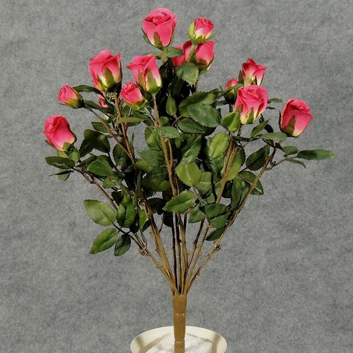[S5265-BEA] ROSE BUSH MINI   X11  BEAUTY