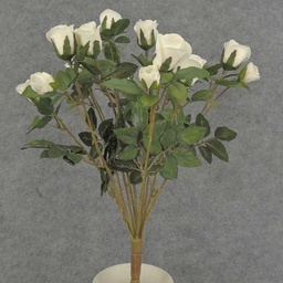 [S5265-CRM] ROSE BUSH MINI   X11    CREAM