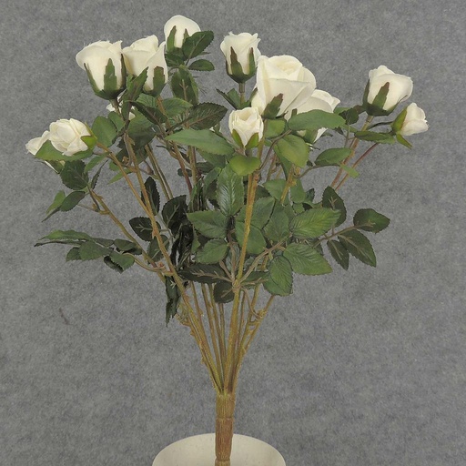 [S5265-CRM] ROSE BUSH MINI   X11    CREAM