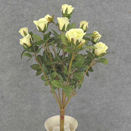 [S5265-GRN] ROSE BUSH MINI   X11    GREEN