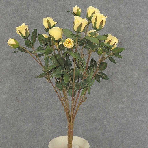 [S5265-LTY] ROSE BUSH MINI   X11 LT.YELLOW