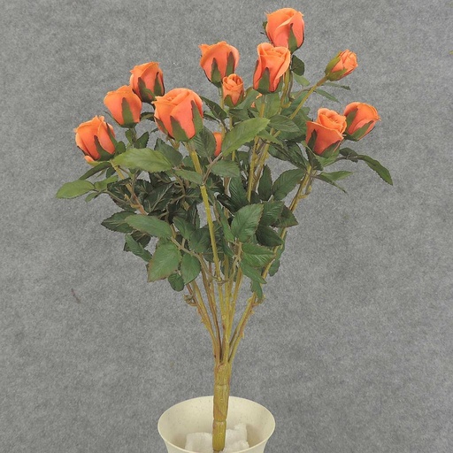 [S5265-ORG] ROSE BUSH MINI   X11  ORANGE