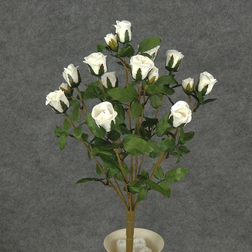 [S5265-WHT] ROSE BUSH MINI   X11 TRUE WHITE