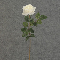 [S5788-CRW] ROSE STEM  LARGE OPEN 26"  CREAM/WHITE
