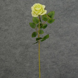 [S5788-GRN] ROSE STEM  LARGE OPEN 26"  GREEN