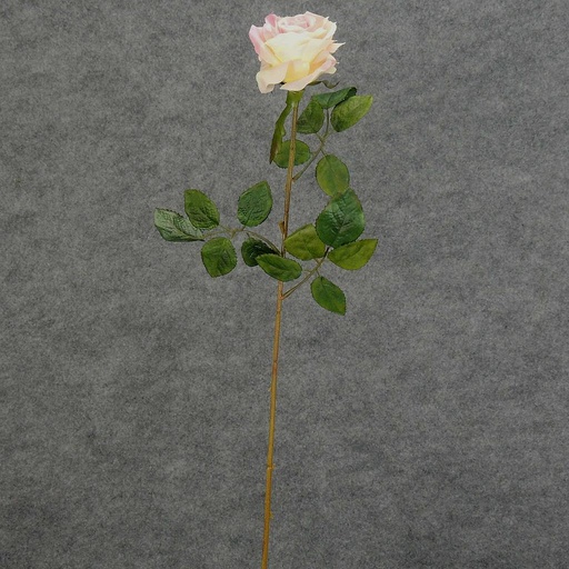 [S5788-LTP] ROSE STEM  LARGE OPEN 26"  LIGHT PINK