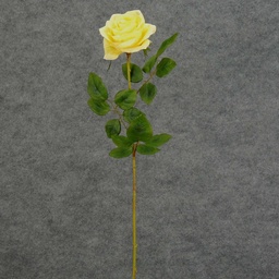 [S5788-LTY] ROSE STEM  LARGE OPEN 26&quot;  LIGHT YELLOW