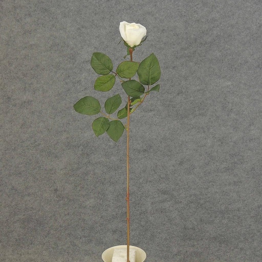[S5952-CRW] ROSE STEM LARGE BUD 26"  CREAM/WHITE