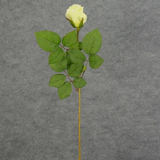 [S5952-GRN] ROSE STEM LARGE BUD 26"  GREEN