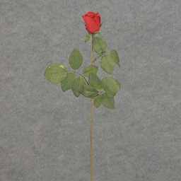 [S5952-RED] ROSE STEM LARGE BUD 26&quot;   RED