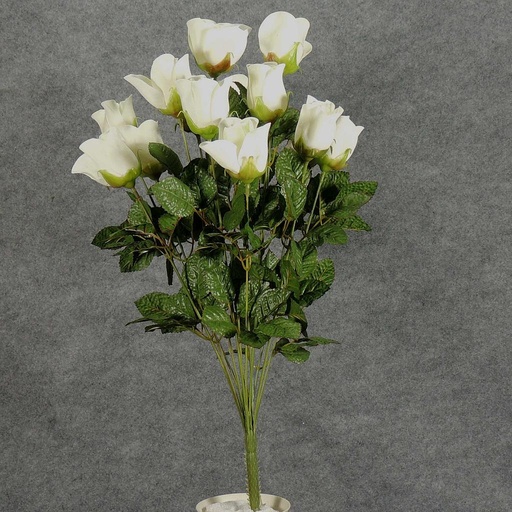 [S692107-CRM] ROSE BUD BUSH X 14  CREAM