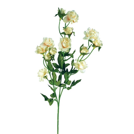 [S791192-CRM] ROSE SPRAY X 3 W/12 HEADS CREAM