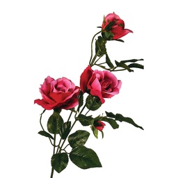 [S893-FUS] ROSE X3 LIFE LIKE FUSCHIA