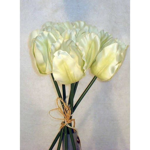 [S4929-CRM] TULIP 12" SATIN BUNDLE X6  CREAM