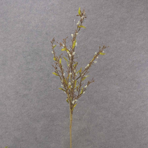 [SA347-NAT] PUSSY WILLOW SPRAY 38" NATURAL