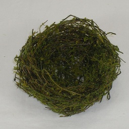 [SA4012] NEST 4&quot; MOSSY         