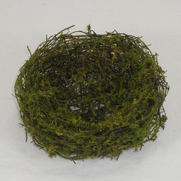 [SA4013] NEST 5&quot; MOSSY