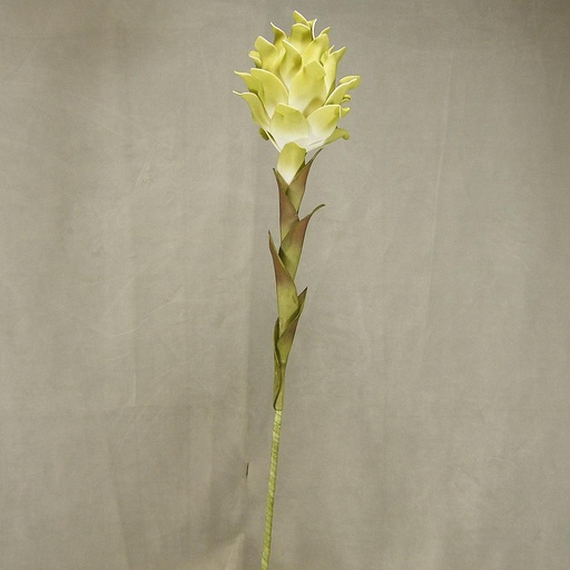 [SA4040] TROPICAL FLOWER 35"