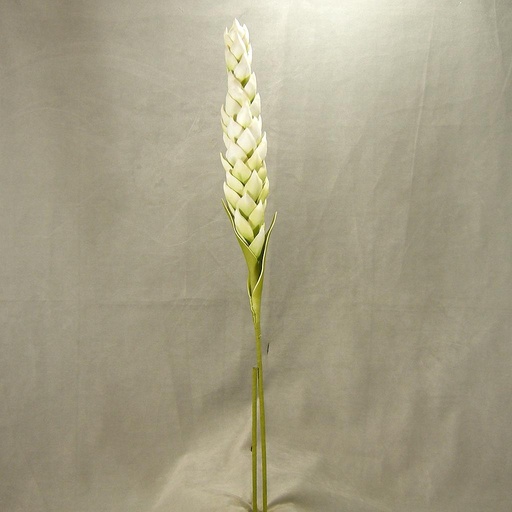 [SA4048] TROPICAL FLOWER 43"