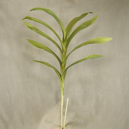 [SA4050] TROPICAL PLANT 48"