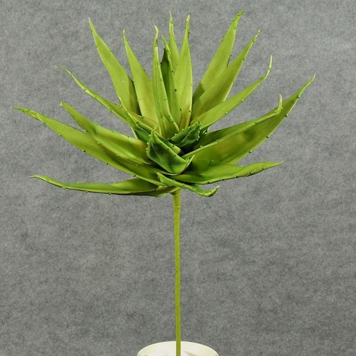 [SA5003-GRN] SUCCULENT PLANT 22"