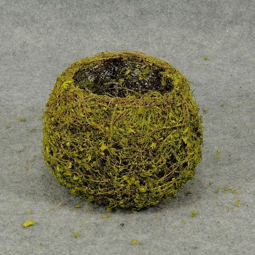 [SA5038] BASKET BOWL SHAPE TWIG/MOSS 5.5"H X 4"O